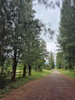 listing thumbnail image 13