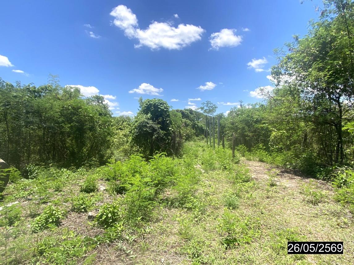 รูป ที่ดินว่างเปล่า 997 ตร.วา เพ็ญ อุดรธานี 2.5M - รูปที่ 9/14