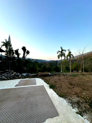 บ้านเดี่ยว เชียงราย : บ้านเดี่ยวพร้อมที่ดิน บนดอย ต.วาวี อ.แม่สรวย จ.เชียงราย