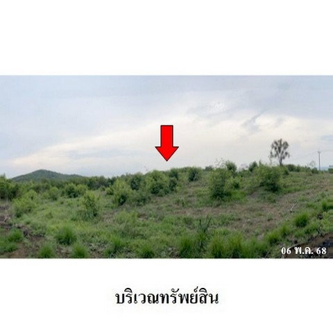 รูป ZLTR023 ขายที่ดินเปล่า โครงการ เพชรบูรณ์การ์เด้นฮิลล์ ตำบล กันจุ อำเภอ บึงสามพัน จังหวัด เพชรบูรณ์ - รูปที่ 4/8