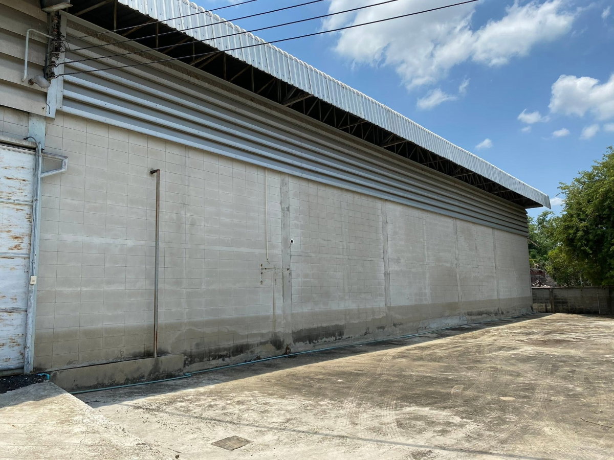 picture For rent Warehouse with House area 3 Rai usage 1,600 sq.m. at Sai2 - 2/12