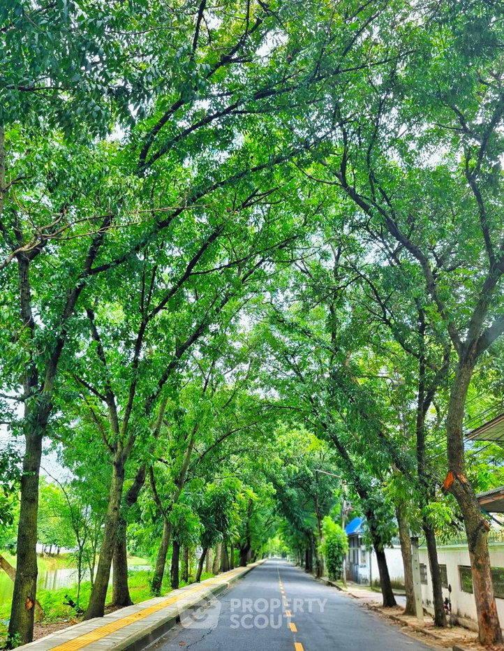 picture Land For Rent Chatuchak Park, 200m to MRT Kamphaeng Phet 📍 (ID 3039639) - 3/5