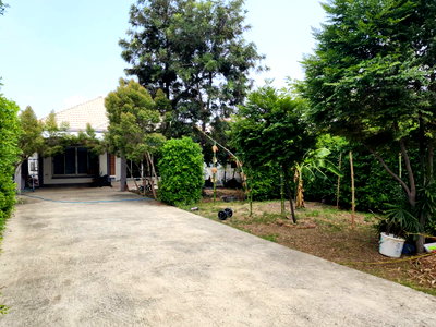 บ้านเดี่ยว นิคมพัฒนา ระยอง : บ้านเดี่ยว 100 ตร.วา แคร์คุณ 4 นิคมพัฒนา นิคมพัฒนา ระยอง 2.7M