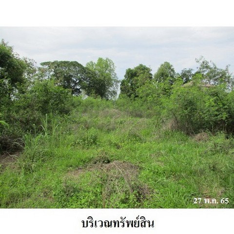 picture FOR SALE LAND PROPERTY 1139000 BAHT. - 4/8