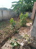 listing thumbnail image 12