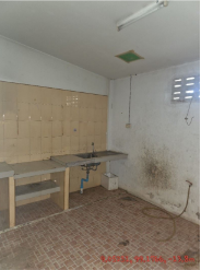 picture SHOP HOUSE 19 Sq.w. Phunphin Surat Thani for 2.1M - 8/21
