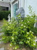 listing thumbnail image 11