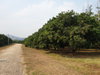 listing thumbnail image 10