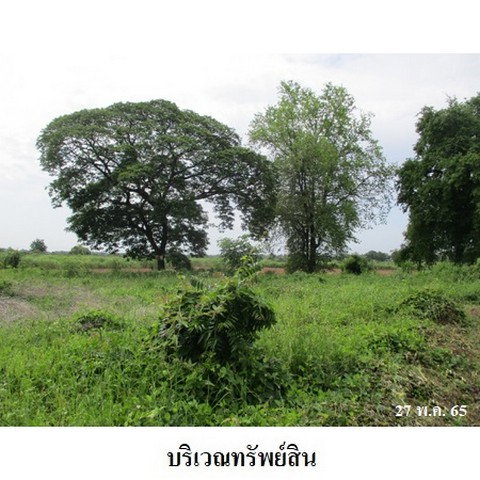 picture FOR SALE LAND PROPERTY 1139000 BAHT. - 5/8