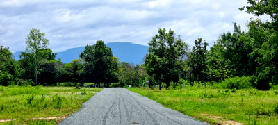 Land for sale Hang Dong Chiang Mai : Land for Sale in Nam Phrae, Hang Dong, Chiang Mai