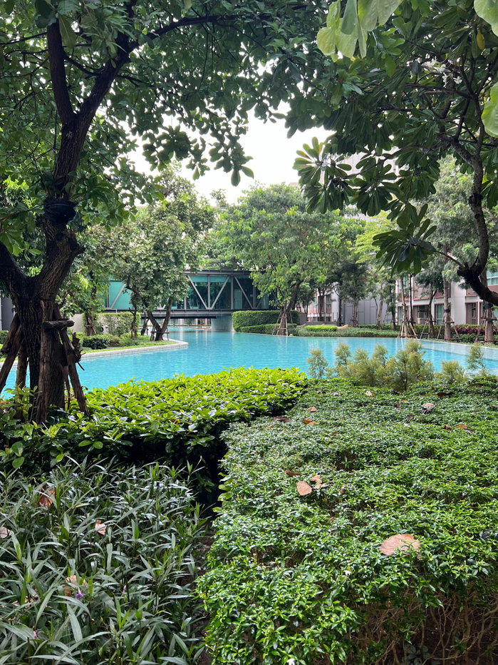 picture ✅ Condo Ping for rent, 3rd floor, Building C, 30 sq m, 10,000 baht. ☎️ 0647924426 (Ben) - 11/14
