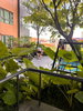 listing thumbnail image 11