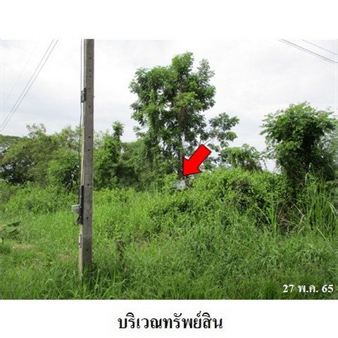 picture FOR SALE LAND PROPERTY 1139000 BAHT. - 3/8