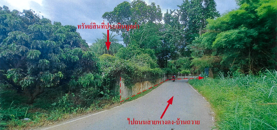 picture LAND 1843 Sq.w. Hang Dong Chiang Mai for 24.2M - 11/15