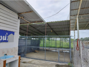 picture PROPERTY 12942 Sq.w. Phatthana Nikhom Lopburi for 32M - 30/77