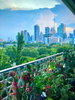 listing thumbnail image 6