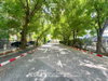 listing thumbnail image 19