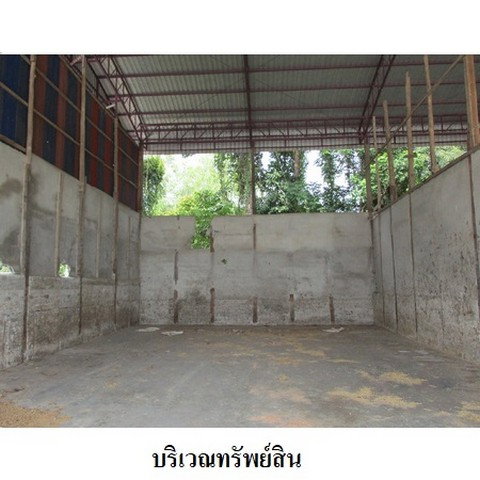 รูป Z3A0466 ขายโกดัง ตำบล พันชาลี อำเภอ วังทอง จังหวัด พิษณุโลก - รูปที่ 4/8