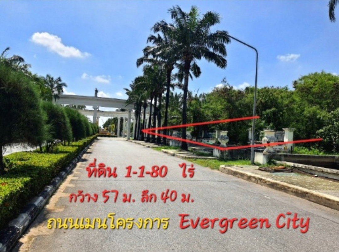 รูป *ขายด่วน*ที่ดิน 274 ตร.ว โครงการ เอเวอร์กรีน ซิตี้ ใกล้รถไฟฟ้าMRTหลักสอง เดอะมอลล์บางแค(ต่อรองราคาได้) - รูปที่ 4/8