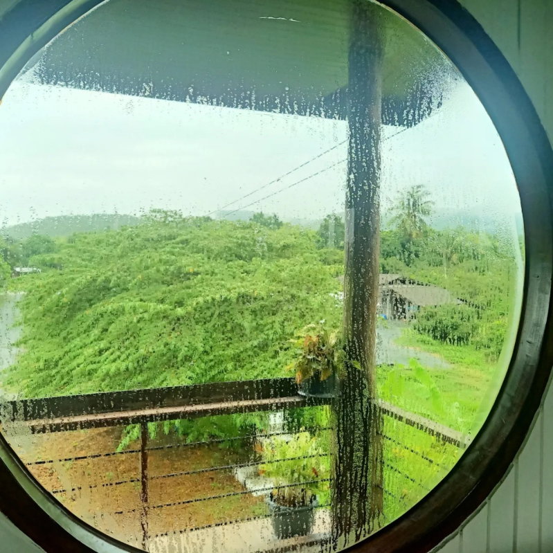 picture A house in a garden, surrounded by rice fields and mountain views, quiet and peaceful. - 24/54
