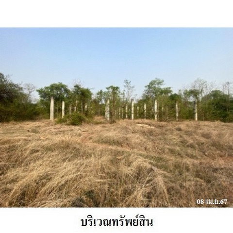 รูป Z3A2184 ขายโกดัง ตำบล นาโป่ง อำเภอ เถิน จังหวัด ลำปาง - รูปที่ 8/8