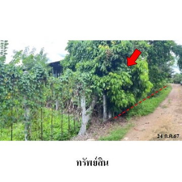 ZBL0082 ขายที่ดินเปล่า ตำบล ปงตำ อำเภอ ไชยปราการ จังหวัด เชียงใหม่