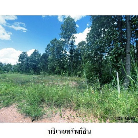 รูป Z3A1906 ขายที่ดินเปล่า ตำบล ห้างฉัตร อำเภอ ห้างฉัตร จังหวัด ลำปาง - รูปที่ 4/8