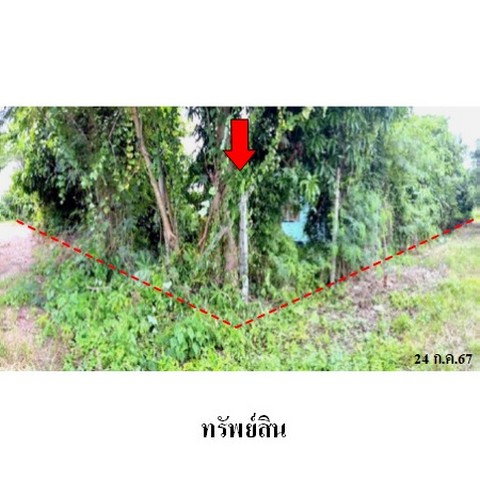 รูป ZBL0082 ขายที่ดินเปล่า ตำบล ปงตำ อำเภอ ไชยปราการ จังหวัด เชียงใหม่ - รูปที่ 2/8