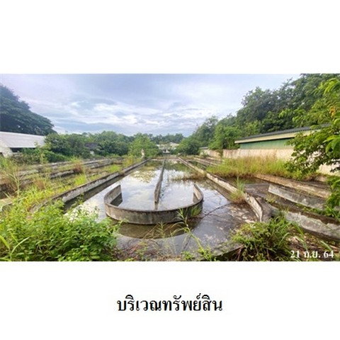 รูป Z8Z3200 ขายโกดัง โครงการ ล้านนาคันทรีปาร์ค ตำบล ศาลา อำเภอ เกาะคา จังหวัด ลำปาง - รูปที่ 5/8