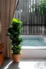 listing thumbnail image 31