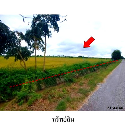 ที่ดิน สิงห์บุรี : ZLL0097 ขายที่ดินเปล่า ตำบล โพสังโฆ อำเภอ ค่ายบางระจัน จังหวัด สิงห์บุรี