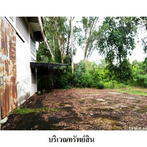 picture FOR SALE  WAREHOUSE PROPERTY  15290000 BAHT. - 7/8