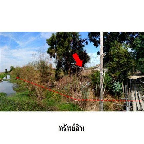 รูป Z4T0492 ขายที่ดินเปล่า โครงการ บ้านส่องแสง ตำบล สามเมือง อำเภอ ลาดบัวหลวง จังหวัด พระนครศรีอยุธยา - รูปที่ 6/8