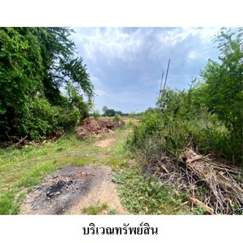 picture FOR SALE  LAND PROPERTY  1316000 BAHT. - 4/8