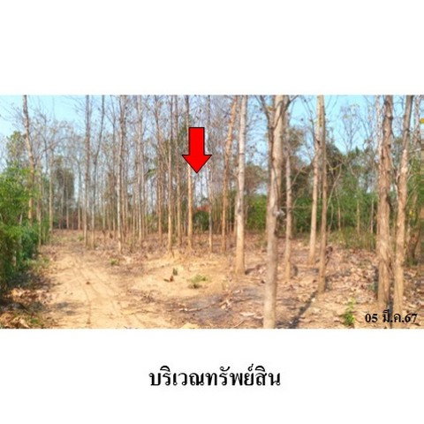 รูป ZLL0067 ขายที่ดินเปล่า ตำบล นาแก้ว อำเภอ เกาะคา จังหวัด ลำปาง - รูปที่ 2/8
