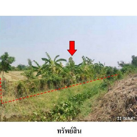 picture FOR SALE  WAREHOUSE PROPERTY  2312000 BAHT. - 3/8