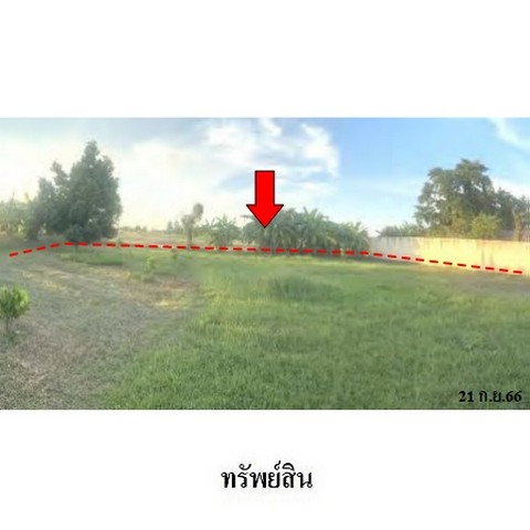 รูป ZLL0113 ขายที่ดินเปล่า ตำบล ท่าโพธิ์ อำเภอ เมืองพิษณุโลก จังหวัด พิษณุโลก - รูปที่ 4/8