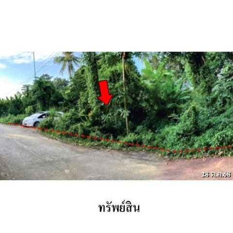 รูป ZHL0890 ขายที่ดินเปล่า ตำบล ท่าโพธิ์ อำเภอ เมืองพิษณุโลก จังหวัด พิษณุโลก - รูปที่ 3/8
