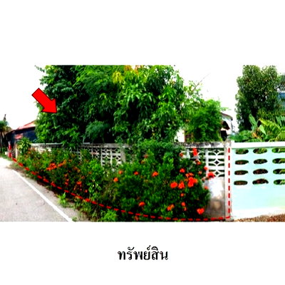 Houses for sale Muang Lampang Lamphang : FOR SALE  HOUSE PROPERTY  1290000 BAHT.