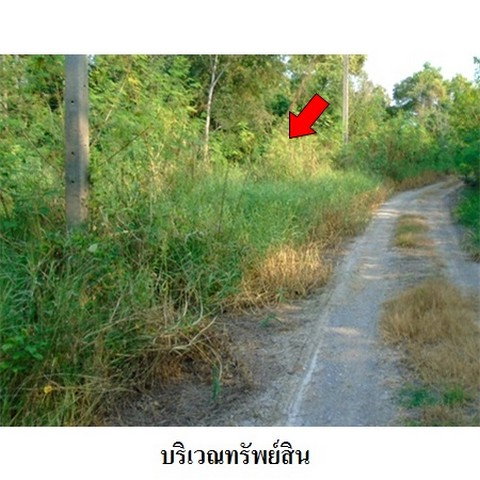 รูป Z1T0218 ขายที่ดินเปล่า โครงการ บางไทรการ์เด้น ตำบล บางไทร อำเภอ บางไทร จังหวัด พระนครศรีอยุธยา - รูปที่ 8/8