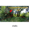 listing thumbnail image 6