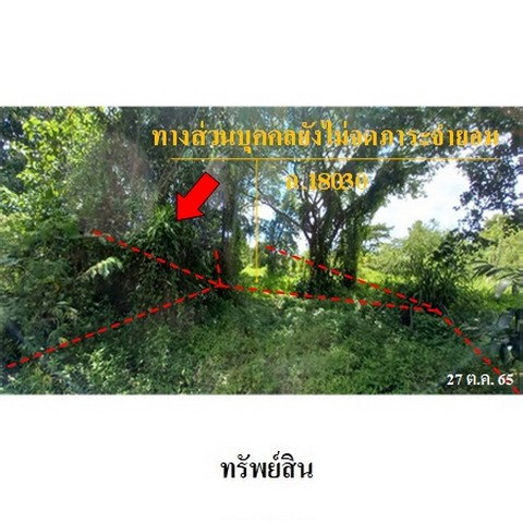 picture FOR SALE  LAND PROPERTY  1076000 BAHT. - 7/8