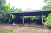 listing thumbnail image 15