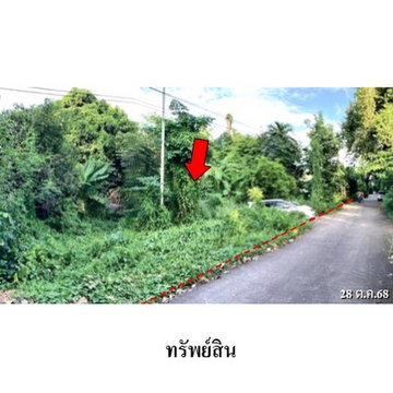 ZHL0890 ขายที่ดินเปล่า ตำบล ท่าโพธิ์ อำเภอ เมืองพิษณุโลก จังหวัด พิษณุโลก