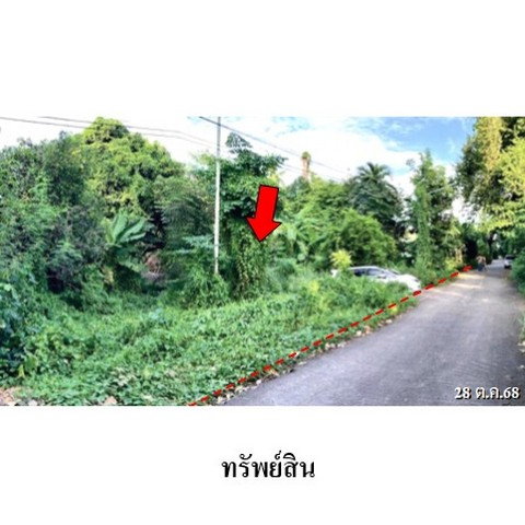 รูป ZHL0890 ขายที่ดินเปล่า ตำบล ท่าโพธิ์ อำเภอ เมืองพิษณุโลก จังหวัด พิษณุโลก - รูปที่ 1/8
