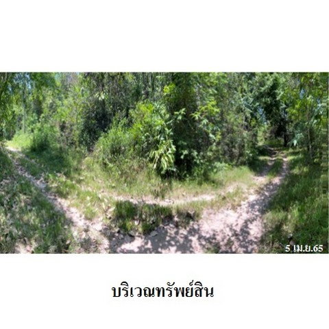 picture FOR SALE  LAND PROPERTY  187909000 BAHT. - 7/8