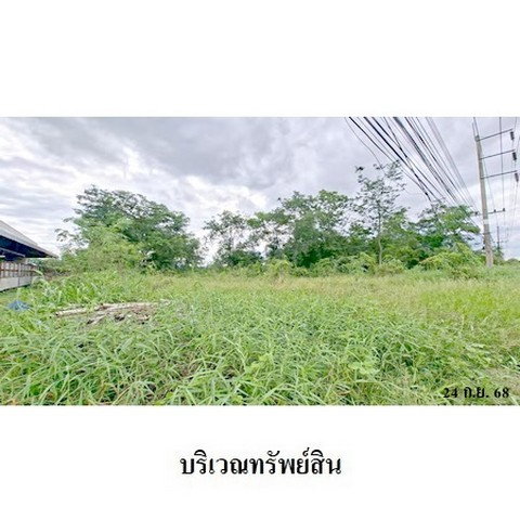 picture FOR SALE  LAND PROPERTY  3596000 BAHT. - 4/8