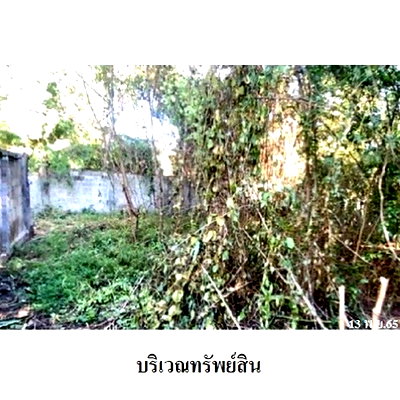 ที่ดิน พะเยา : Z8Z3417 ขายที่ดินเปล่า ตำบล สว่างอารมณ์ อำเภอ ดอกคำใต้ จังหวัด พะเยา