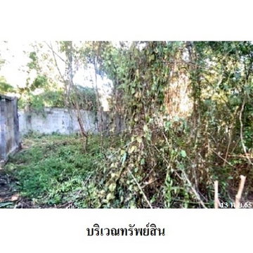 Z8Z3417 ขายที่ดินเปล่า ตำบล สว่างอารมณ์ อำเภอ ดอกคำใต้ จังหวัด พะเยา