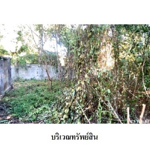 รูป Z8Z3417 ขายที่ดินเปล่า ตำบล สว่างอารมณ์ อำเภอ ดอกคำใต้ จังหวัด พะเยา - รูปที่ 1/8